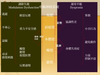 調節失能
Modulation Dysfunction中樞神經系統
逃避

視覺

厭惡反應

笨拙
姿勢

不專心

重力不安全感
邊緣 / 網狀
系統

退縮

尋求
感覺刺激

觸覺
聽覺
視覺防禦
反應過慢

運用不能
Dyspraxia

協調性差

前庭覺

小丑行為

本體覺
區辨

觸覺
聽覺

避免動作
身體失用症
力量
控制不當

 