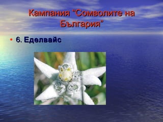 Кампания “Сомволите на
България”
• 6. Еделвайс

 