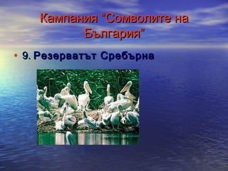 Кампания “Сомволите на
България”
• 9. Резерватът Сребърна

 