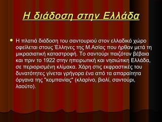 Η διάδοση στην Ελλάδα


Η πλατιά διάδοση του σαντουριού στον ελλαδικό χώρο
οφείλεται στους Έλληνες της Μ.Ασίας που ήρθαν μετά τη
μικρασιατική καταστροφή. Το σαντούρι παιζόταν βέβαια
και πριν το 1922 στην ηπειρωτική και νησιώτικη Ελλάδα,
σε περιορισμένη κλίμακα. Χάρη στις εκφραστικές του
δυνατότητες γίνεται γρήγορα ένα από τα απαραίτητα
όργανα της "κομπανίας" (κλαρίνο, βιολί, σαντούρι,
λαούτο).

 