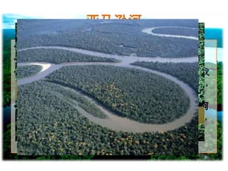 亚马逊河
• 是世界流量、流域最大的、支流最多的河
• 源头在安第斯山高原中
• 2007年，一群來自巴西與秘魯的學者共同宣稱找
到新的源頭，並發表量測的河長達6,992.15公里，
因而超越尼羅河成為世界第一長河[。
• 流量比其他三条大河尼罗河、长江、密西西比河
的总和还要大幾倍，大約相當於7條長江的流量，
佔世界河流流量的20%；

 