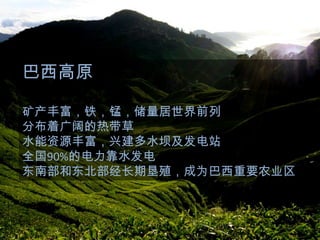 巴西高原
矿产丰富，铁，锰，储量居世界前列
分布着广阔的热带草
水能资源丰富，兴建多水坝及发电站
全国90%的电力靠水发电
东南部和东北部经长期垦殖，成为巴西重要农业区

 