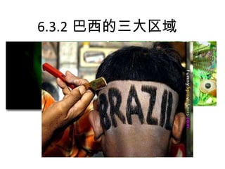 6.3.2 巴西的三大区域

 