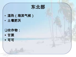 东北部
• 湿热（海滨气候）
• 土壤肥沃
农作物：
 甘蔗
 可可

 