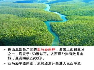 • 巴西北部是广阔的亚马逊雨林，占国土面积三分
之一，海拔于150米以下。大西洋沿岸有数条山
脉，最高海拔2,900米。
• 亚马逊平原向南，地势逐渐升高进入巴西平原

 