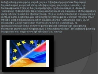 Հանդիպմանը քննարկվեց անցած շաբաթ Եվրախորհրդարանում Եվրոպայի
հարևանության քաղաքականության վերաբերյալ ընդունված բանաձևը։ Այս
համատեքստում Էդվարդ Նալբանդյանը նշեց, որ փաստաթղթում Լեռնային
Ղարաբաղի հիմնախնդրի վերաբերյալ ձևակերպումները հակասում են Եվրոպական
միության պաշտոնական դիրքորոշմանը, ինչպես նաև հիմնախնդրի կարգավորման
գործընթացում միջնորդական առաքելության միջազգային մանդատ ունեցող ԵԱՀԿ
Մինսկի խմբի համանախագահների մոտեցումներին։ Նախարարը հավելեց, որ
նմանատիպ ձևակերպումների հեղինակները պետք է գիտակցեն, որ
պատասխանատվություն են կրում կարգավորման գործընթացի վրա դրանց
հնարավոր բացասական ազդեցության և եռանախագահների՝ հիմնախնդրի խաղաղ
կարգավորմանն ուղղված ջանքերին վնասելու համար։

 