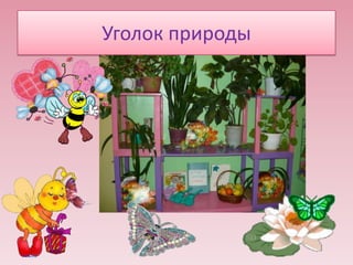 Уголок природы

 