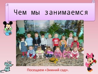 Чем мы занимаемся

Посещаем «Зимний сад».

 