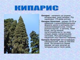 Рослини Криму | PPT