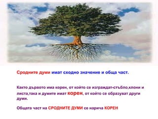 Сродните думи имат сходно значение и обща част.
Както дървото има корен, от който се изграждат-стъбло,клони и
листа,така и думите имат корен, от който се образуват други
думи.
Общата част на СРОДНИТЕ ДУМИ се нарича КОРЕН

 