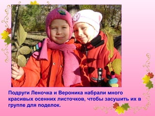 Подруги Леночка и Вероника набрали много
красивых осенних листочков, чтобы засушить их в
группе для поделок.

 