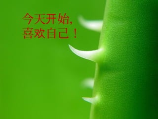 今天开始，
喜欢自己！

 