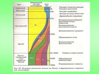 Развитие жизни в архейскую и протерозойскую эры