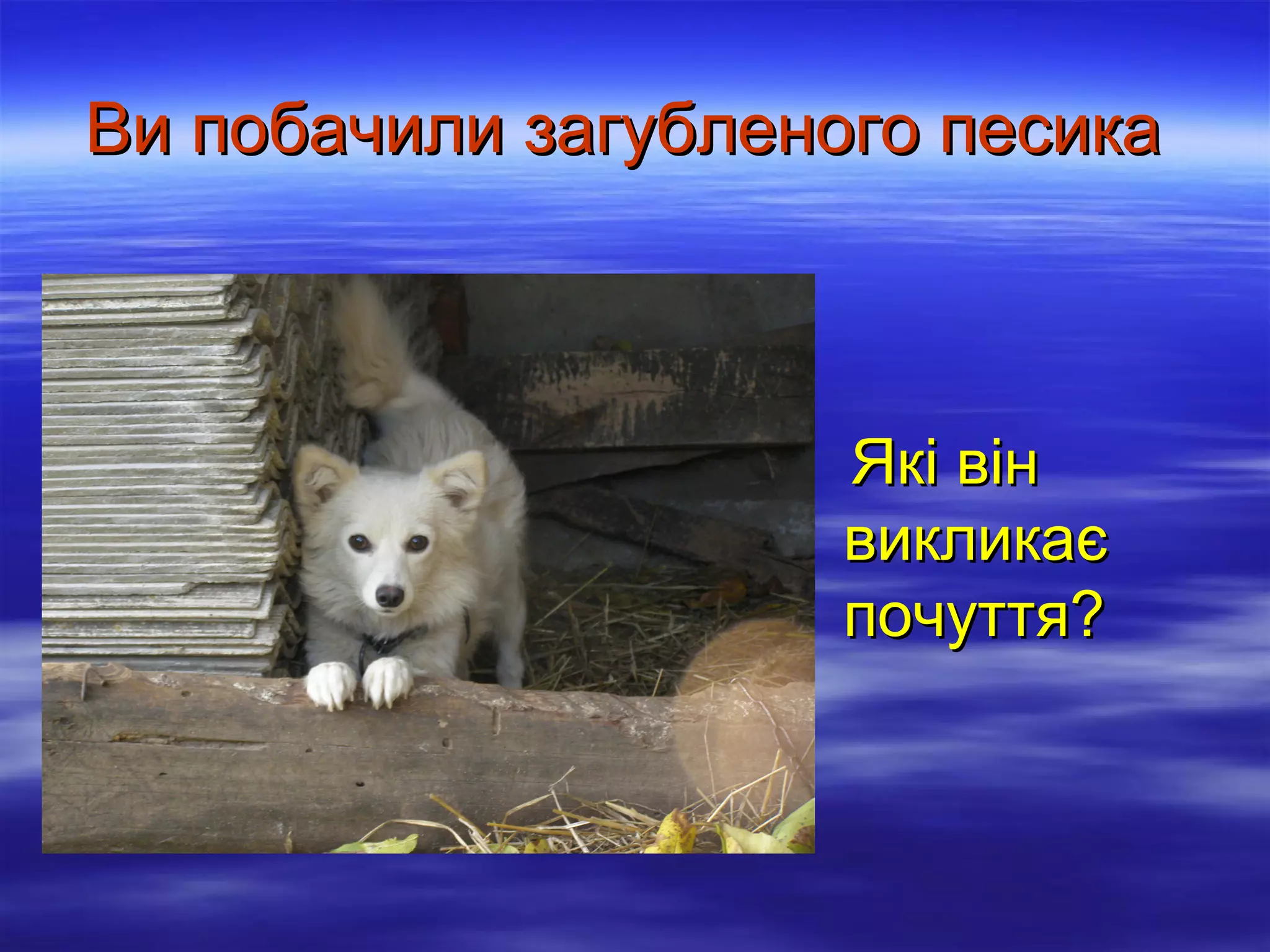 Ви побачили загубленого песика

Які він
викликає
почуття?

 