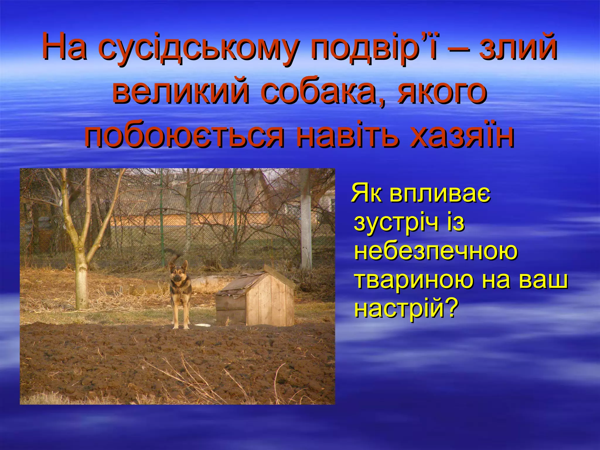 На сусідському подвір’ї – злий
великий собака, якого
побоюється навіть хазяїн
Як впливає
зустріч із
небезпечною
твариною на ваш
настрій?

 
