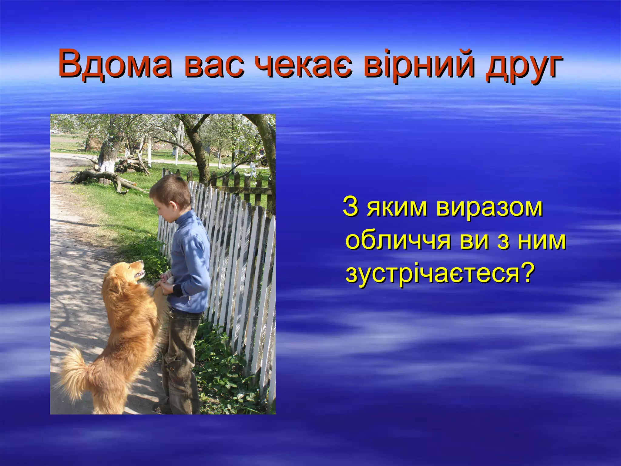 Вдома вас чекає вірний друг

З яким виразом
обличчя ви з ним
зустрічаєтеся?

 