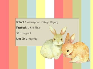 School : Assumption College Rayong
Facebook : Ktd Naye
IG : nayekul
Line ID : nayeney

 