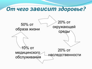 От чего зависит здоровье?
50% от
образа жизни

20% от
окружающей
среды

10% от
медицинского
обслуживания

20% от
наследственности

 