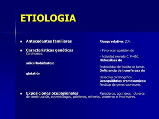 ETIOLOGIA


Antecedentes familiares

Riesgo relativo: 2.4.



Características genéticas

- Favorecen aparición de

Carcinomas.

arilcarbohidratos:
glutatión



Exposiciones ocupasionales

- Actividad elevada C. P-450.
Hidroxilasa de
Probabilidad del habito de fumar.
Deficiencia de transferasa de
Desactiva carcinogenos.
Desequilibrios cromosomicos:
Perdidas de genes supresores.

Panaderos, cocineros, obreros
de construcción, cosmetólogos, paleteros, mineros, plomeros e impresores.

 
