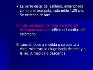 

La parte distal del esófago, ensanchada
como una trompeta, solo mide 1.25 cm.
Se extiende desde:

El hiato esofágico del pilar derecho del
diafragma hasta el orificio del cardias del
estómago.

Ensanchándose a medida q se acerca a
éste, mientras se dirige hacia delante y a
la izq. A medida q desciende.

 