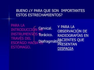 BUENO ¿Y PARA QUE SON IMPORTANTES
ESTOS ESTRECHAMIENTOS?
PARA LA
Cervical. Y PARA LA
INTRODUCCIÓN DE
OBSERVACIÓN DE
INSTRUMENTOS Torácico. RADIOGRAFÍAS EN
A
TRAVÉS DEL
PACIENTES QUE
Diafragmático.
ESOFÁGO HACIA EL
PRESENTAN
ESTÓMAGO.
DISFAGIA

 