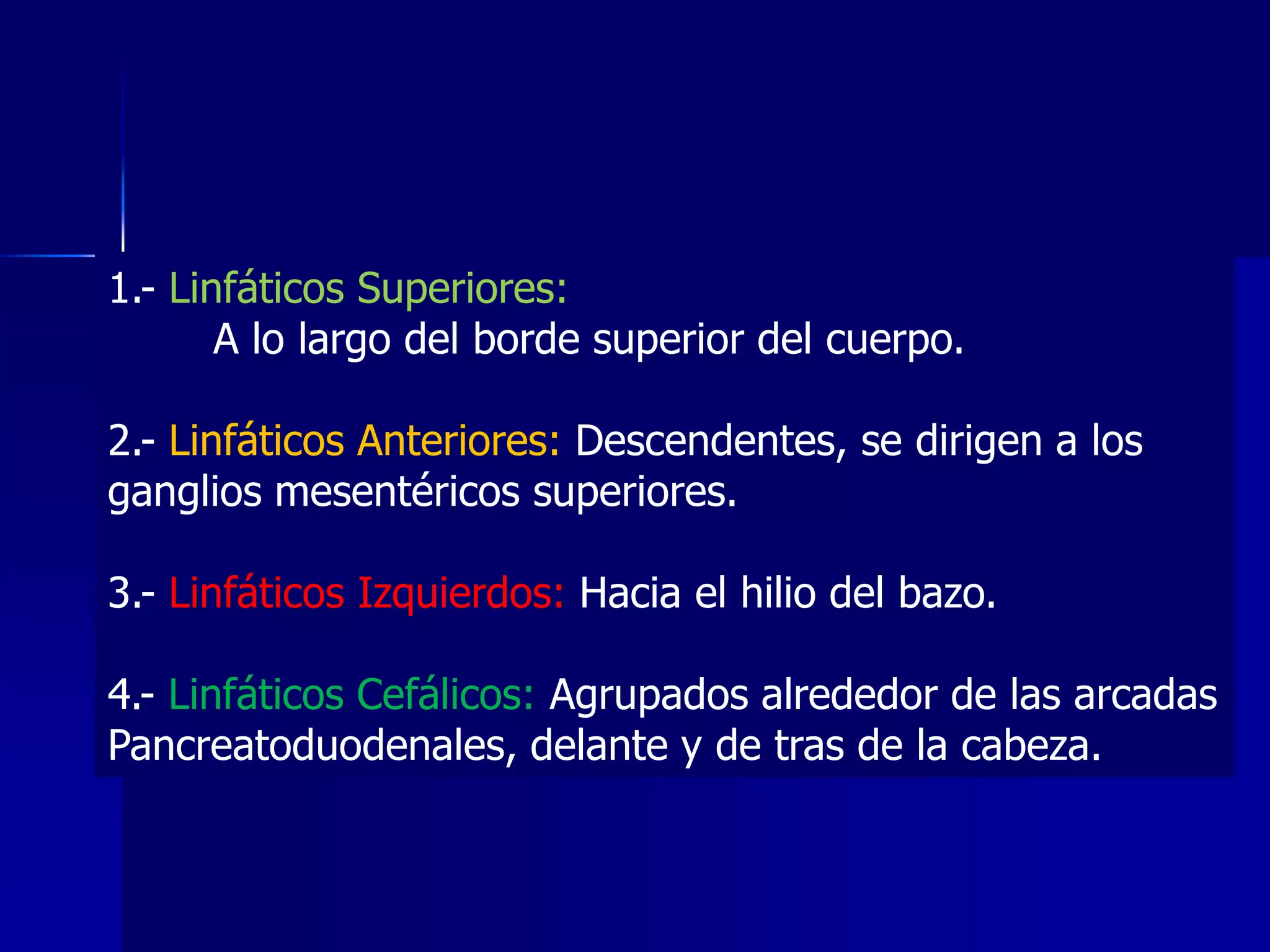 1.- Linfáticos Superiores:
A lo largo del borde superior del cuerpo.
2.- Linfáticos Anteriores: Descendentes, se dirigen a los
ganglios mesentéricos superiores.

3.- Linfáticos Izquierdos: Hacia el hilio del bazo.
4.- Linfáticos Cefálicos: Agrupados alrededor de las arcadas
Pancreatoduodenales, delante y de tras de la cabeza.

 