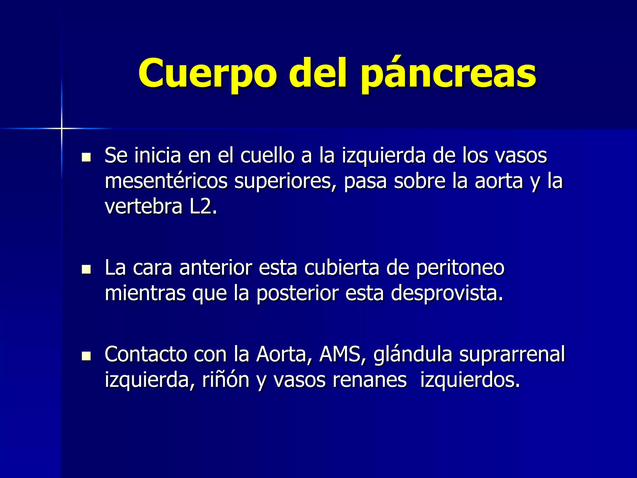 Cuerpo del páncreas






Se inicia en el cuello a la izquierda de los vasos
mesentéricos superiores, pasa sobre la aorta y la
vertebra L2.
La cara anterior esta cubierta de peritoneo
mientras que la posterior esta desprovista.
Contacto con la Aorta, AMS, glándula suprarrenal
izquierda, riñón y vasos renanes izquierdos.

 