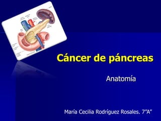 Cáncer de páncreas
Anatomía

María Cecilia Rodríguez Rosales. 7”A”

 