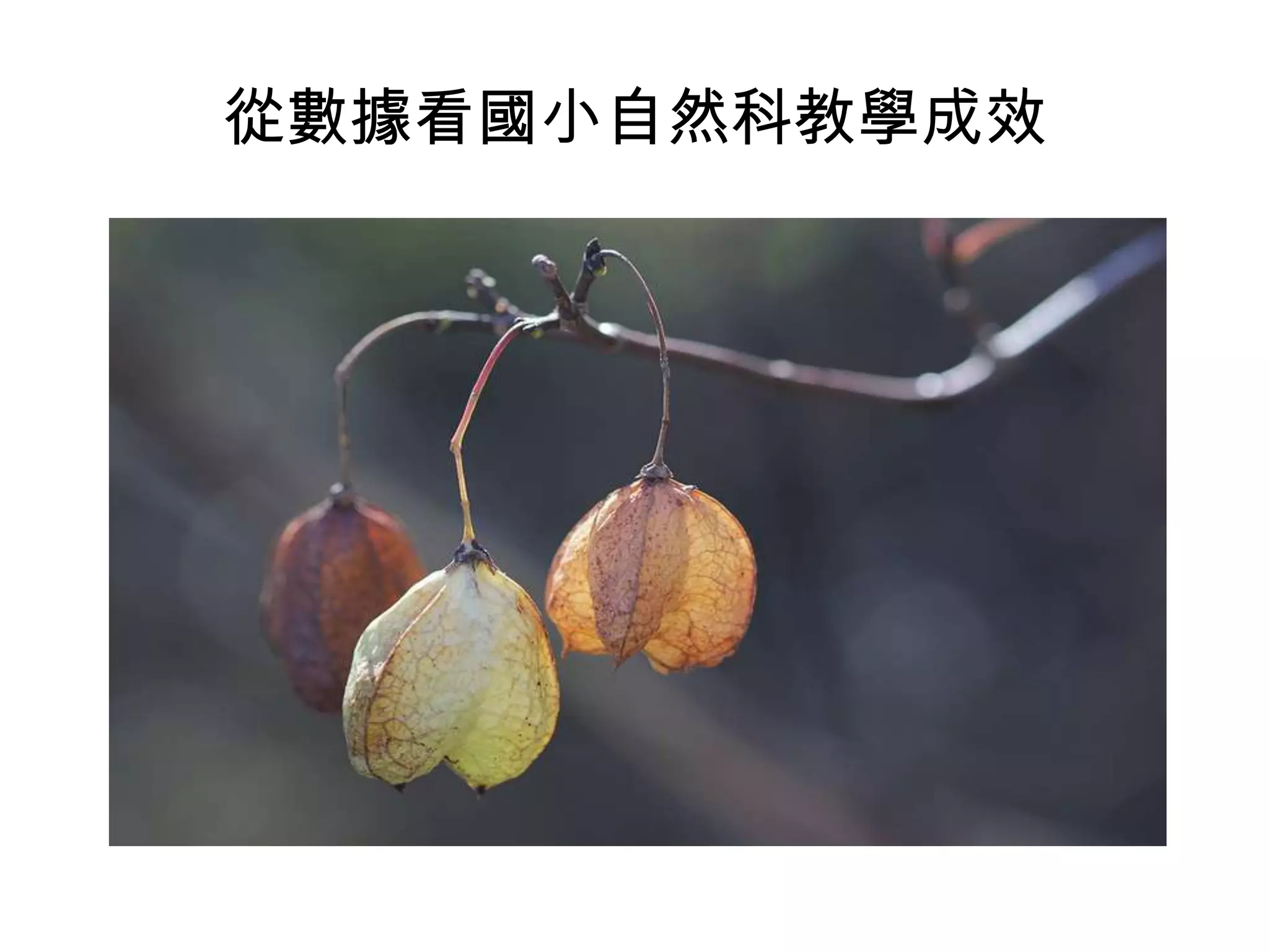 從數據看國小自然科教學成效

 