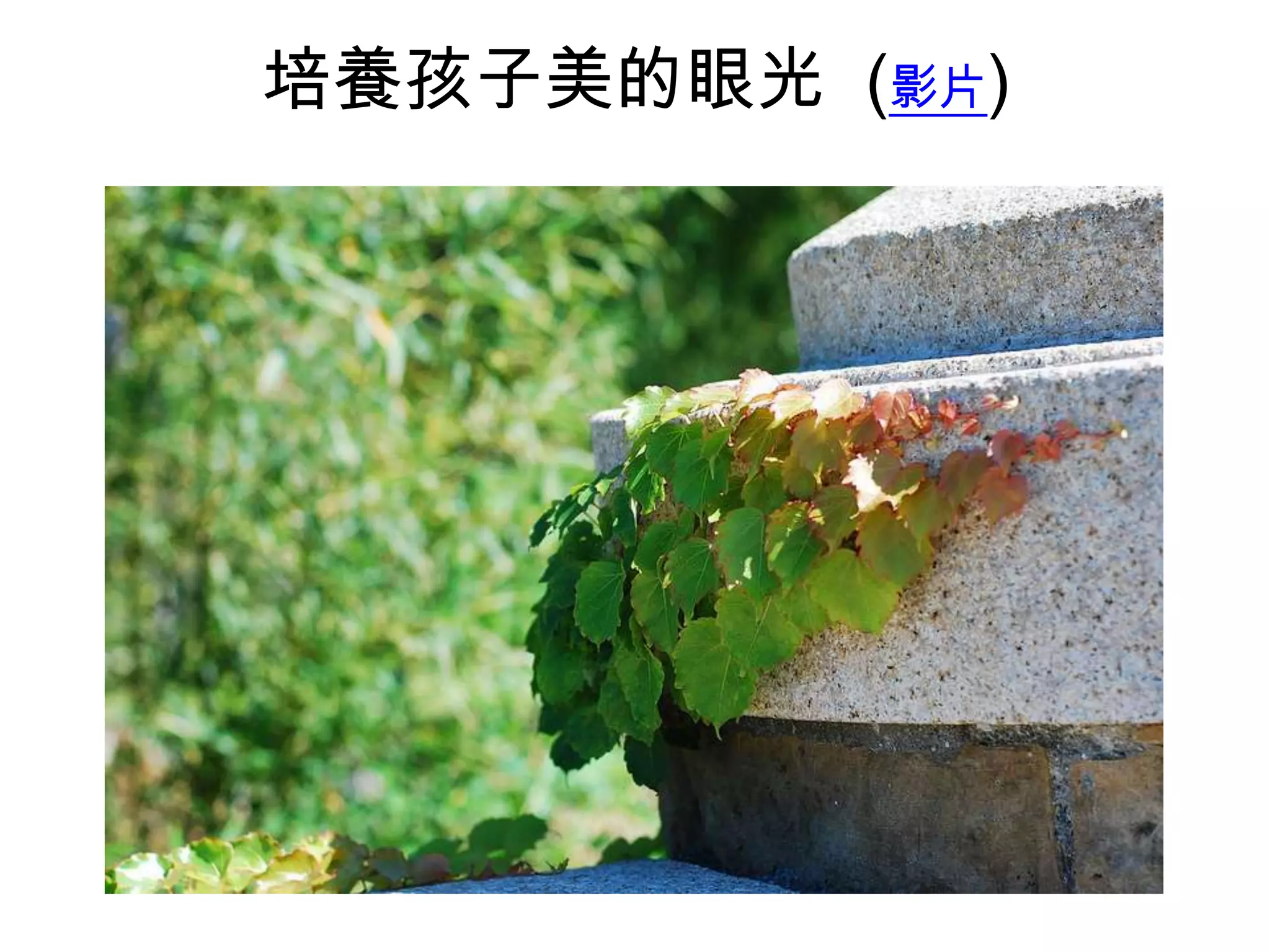 培養孩子美的眼光 (影片)

 