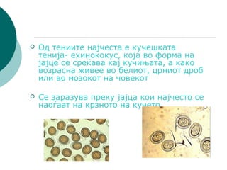 Деформитети на дигестивниот систем и превенција | PPT