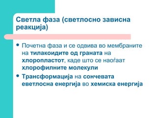 Светла фаза (светлосно зависна
реакција)
 Почетна

фаза и се одвива во мембраните
на тилакоидите од граната на
хлоропластот, каде што се наоѓаат
хлорофилните молекули
 Трансформација на сончевата
еветлосна енергија во хемиска енергија

 