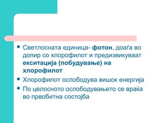  Светлосната

единица- фотон, доаѓа во
допир со хлорофилот и предизвикуваат
екситација (побудување) на
хлорофилот
 Хлорофилот ослободува вишок енергија
 По целосното ослободувањето се враќа
во првобитна состојба

 