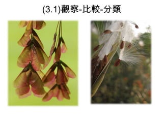 (3.1)觀察-比較-分類

 