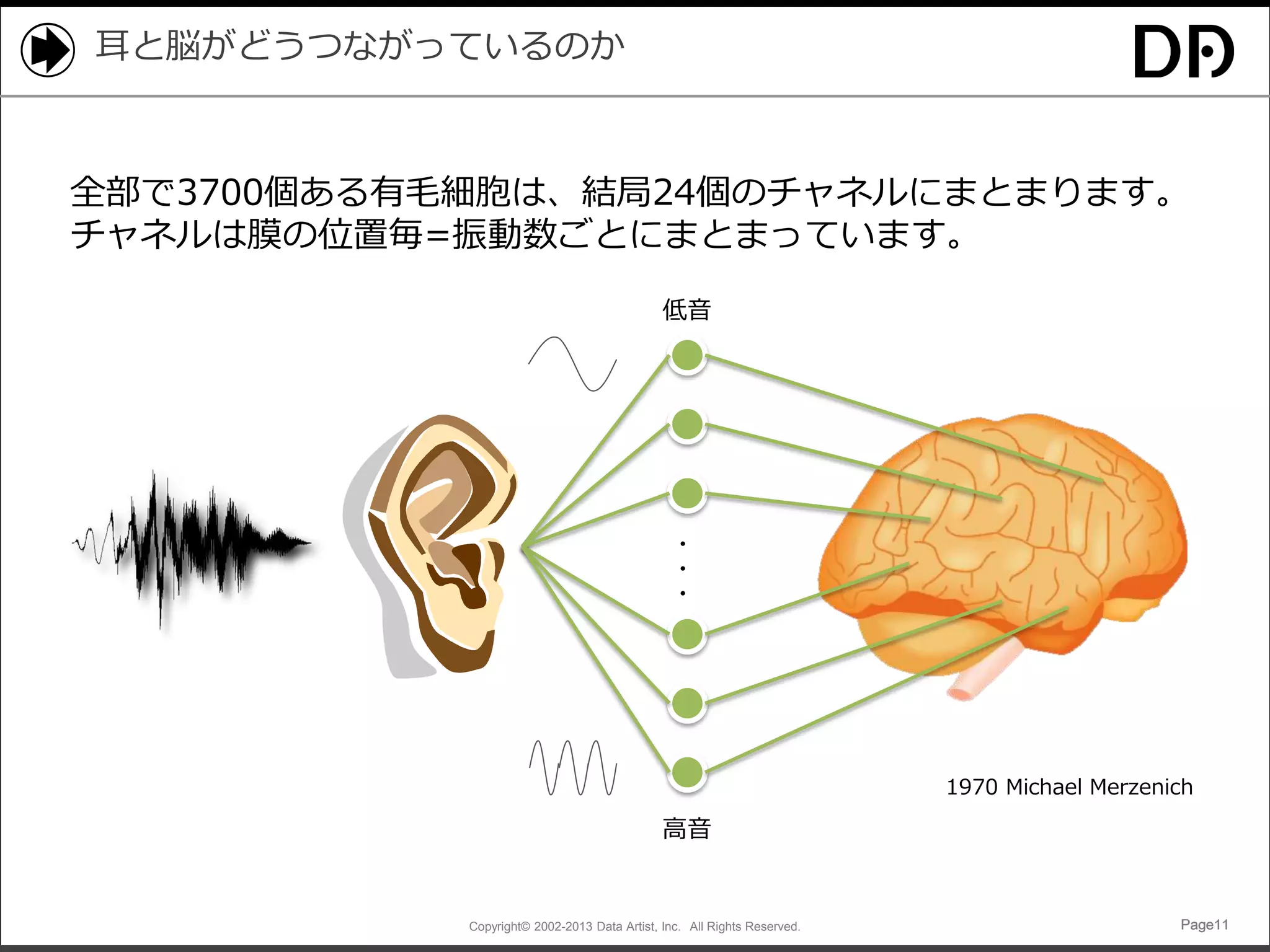 耳と脳がどうつながっているのか

全部で3700個ある有毛細胞は、結局24個のチャネルにまとまります。
チャネルは膜の位置毎=振動数ごとにまとまっています。
低音

・
・
・

1970 Michael Merzenich

高音

Copyright© 2002-2013 Data Artist, Inc. All Rights Reserved.

Page11

 