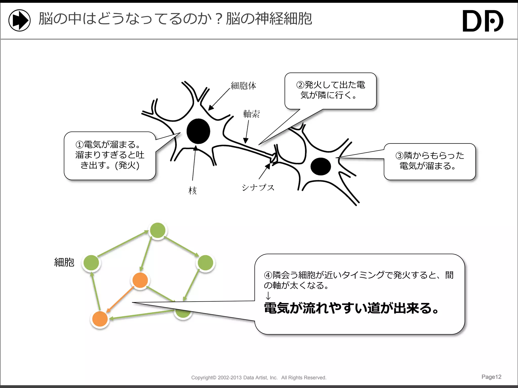 脳の中はどうなってるのか？脳の神経細胞

②発火して出た電
気が隣に行く。

①電気が溜まる。
溜まりすぎると吐
き出す。(発火)

③隣からもらった
電気が溜まる。

細胞
④隣会う細胞が近いタイミングで発火すると、間
の軸が太くなる。
↓

電気が流れやすい道が出来る。

Copyright© 2002-2013 Data Artist, Inc. All Rights Reserved.

Page12

 