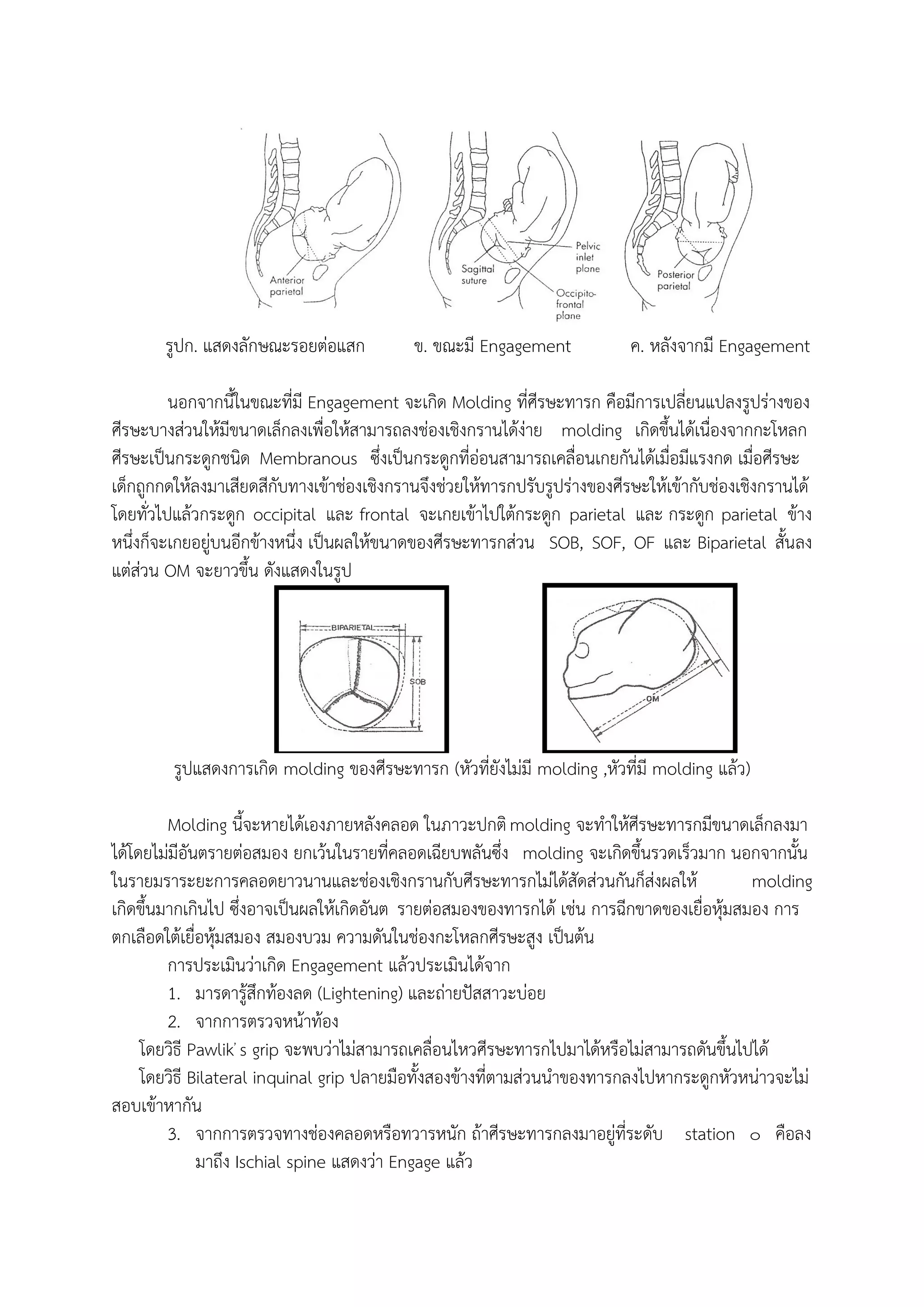 Engaged Spine กลไกการคลอดปกติ 8 ขั้นตอน | PDF