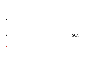 •

•
•

SCA

 