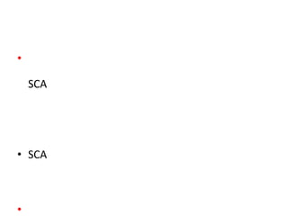 •
SCA

• SCA

•

 