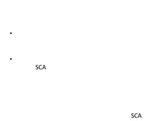 •

•

SCA

SCA

 
