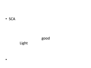 • SCA

good
Light

•

 