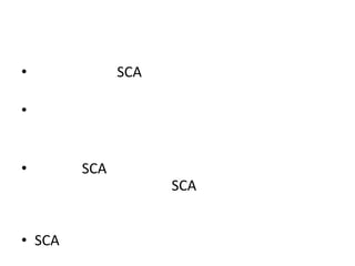 •

SCA

•

•

SCA
SCA

• SCA

 