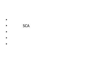 •
•
•
•
•

SCA

 