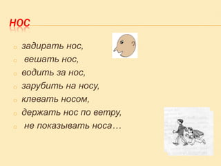 НОС
o

o
o
o

o
o
o

задирать нос,
вешать нос,
водить за нос,
зарубить на носу,
клевать носом,
держать нос по ветру,
не показывать носа…

 