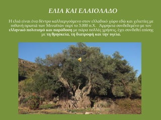 ΕΛΙΑ ΚΑΙ ΕΛΑΙΟΛΑΔΟ
Η ελιά είναι ένα δέντρο καλλιεργούμενο στον ελλαδικό χώρο εδώ και χιλιετίες με
πιθανή πρωτιά των Μινωϊτών περί το 3.000 π.Χ. Άρρηκτα συνδεδεμένο με τον
ελληνικό πολιτισμό και παράδοση με πάρα πολλές χρήσεις, έχει συνδεθεί επίσης
με τη θρησκεία, τη διατροφή και την υγεία.

 