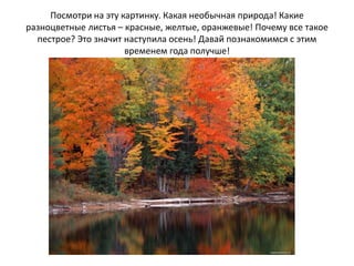 Презентация Осень Для Детей | PPT