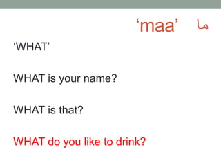 ‘maa’ ما
‘WHAT’
WHAT is your name?
WHAT is that?
WHAT do you like to drink?