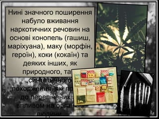 Нині значного поширення
набуло вживання
наркотичних речовин на
основі конопель (гашиш,
маріхуана), маку (морфін,
героїн), коки (кокаїн) та
деяких інших, як
природного, так і
синтетичного
походження, які подібні
до перелічених за
впливом на організм
людини.

 
