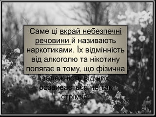 Саме ці вкрай небезпечні
речовини й називають
наркотиками. Їх відмінність
від алкоголю та нікотину
полягає в тому, що фізична
залежність від них
розвивається не так
стрімко.

 