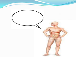 سلامة الجهاز الهضمي